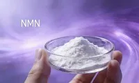 Hvert er besta NMN viðbótin?