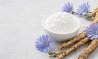 Hvernig á að velja síkóríu inúlín fyrir fæðubótarefni fyrir þarmaheilsu?