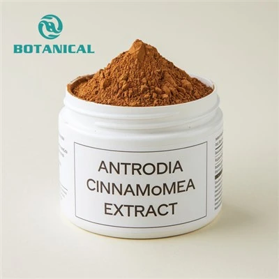 Antrodia cinnamomea útdráttur