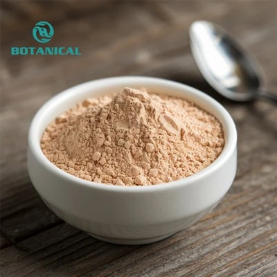 Burdock Seed Extract