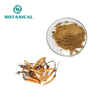 Cordycepin duft