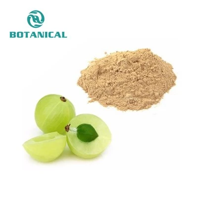 Gooseberry þykkni