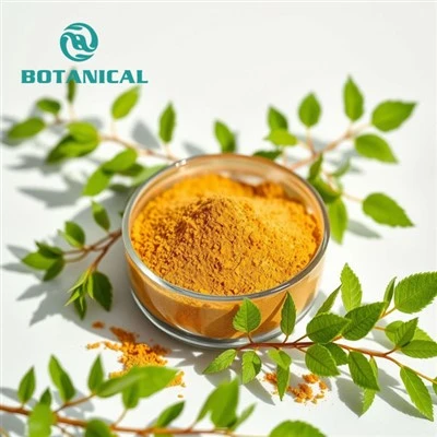 Gynostemma Pentaphyllum Leaf Extract