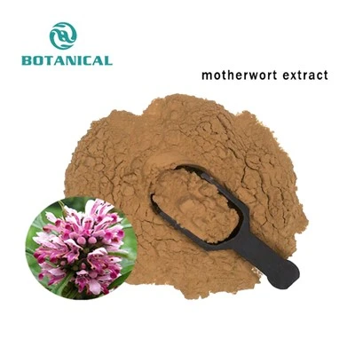 Motherwort Extract