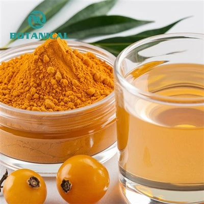 Seabuckthorn Berry Powder